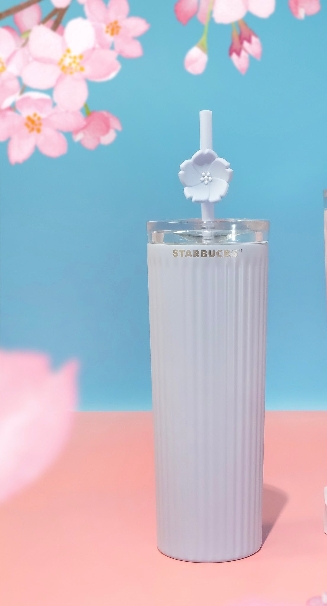 Starbucks Vietnam SS Stripe 2024 16oz