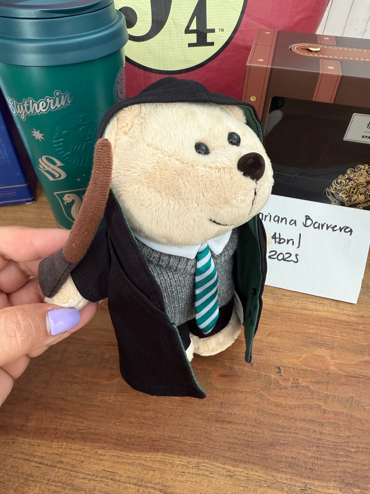 2025 Korea Harry Potter Bearista Slytherin